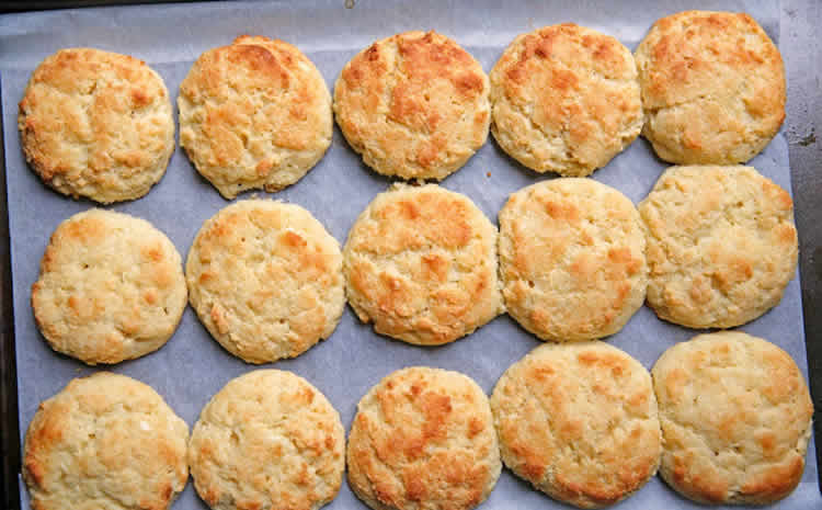 Recette biscuit au parmesan ww