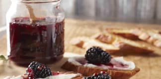 Comment faire la gelée de mûres au thermomix