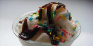 Mc flurry maison au thermomix