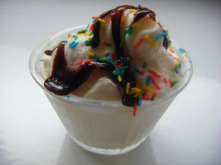 Mc flurry maison au thermomix