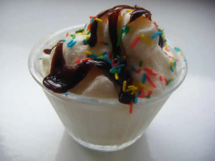 Mc flurry maison au thermomix