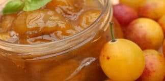 Recette facile de confiture mirabelles au thermomix