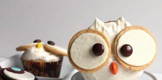 Biscuits hibou pour fête