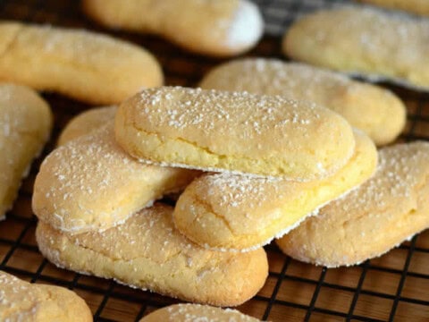 Recette biscuit à la cuillère au thermomix