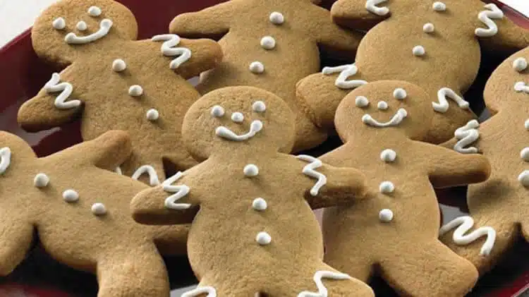 Biscuit bonhomme de noël au thermomix