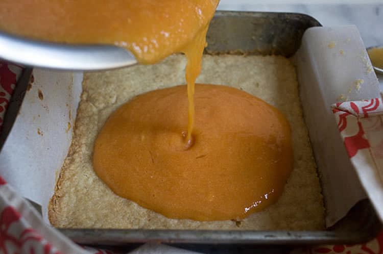 Gâteau barre à la papaye 1