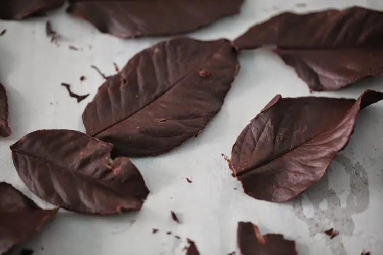 Feuilles en chocolat noir au thermomix 1