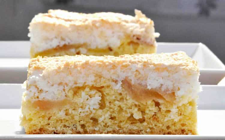 Cake aux pommes et noix de coco au thermomix