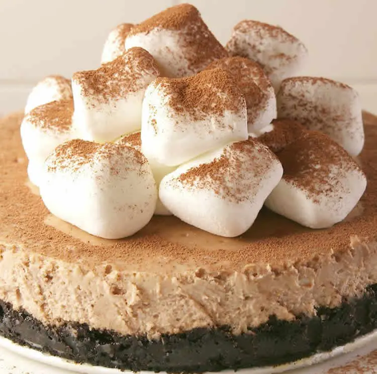 Cheesecake Oreo au cacao au thermomix