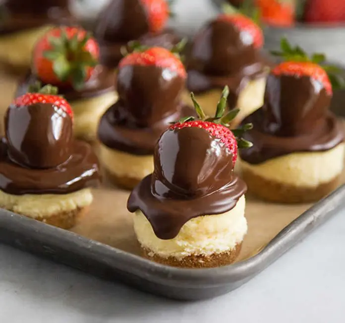 Mini cheesecake au chocolat et fromage