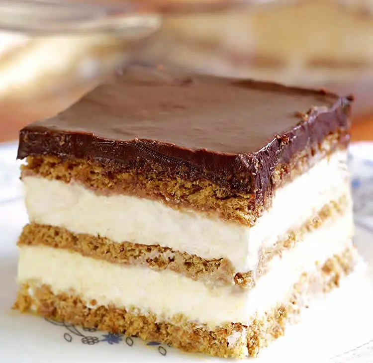 Gâteau sans cuisson au thermomix