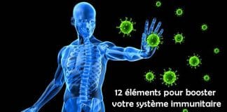 12 éléments pour booster votre système immunitaire