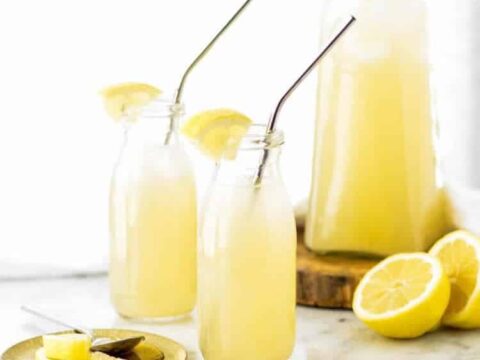 Comment faire la citronnade au thermomix