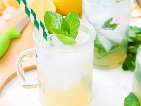 Citronnade à la menthe au thermomix