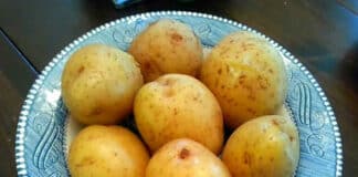 Cuisson pomme de terre vapeur au cookeo