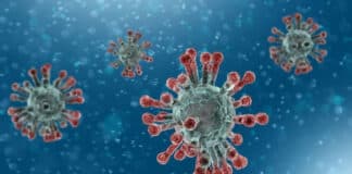 4 aliments qui combattent le virus Corona