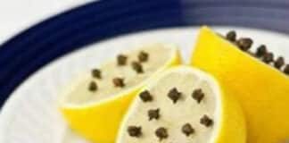 Anti-moustique citron et clous de girofle
