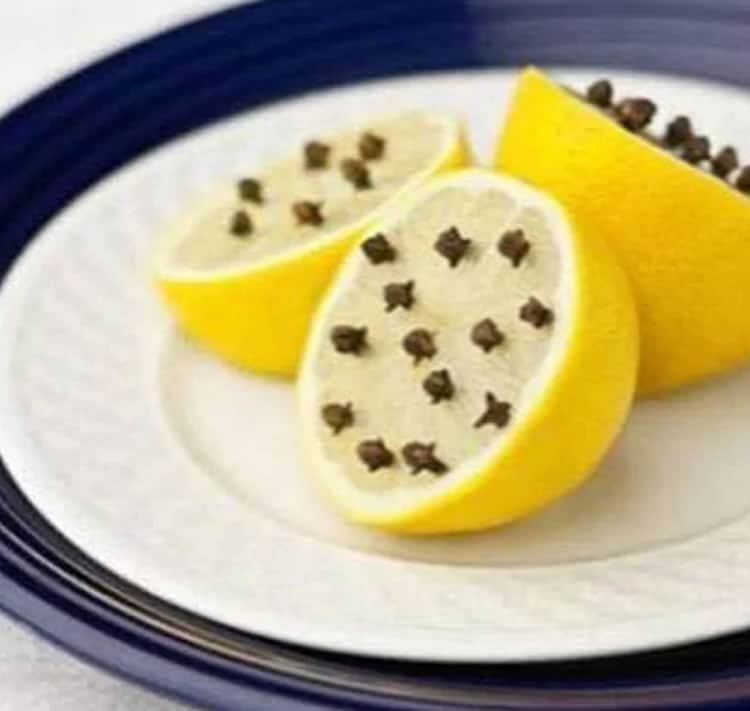 Anti-moustique citron et clous de girofle