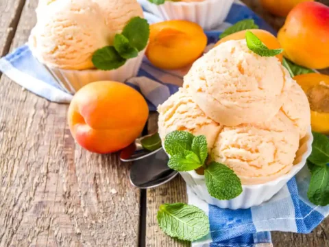 sorbet abricot sans sorbetière