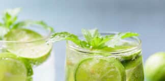 Mojito citron menthe au thermomix