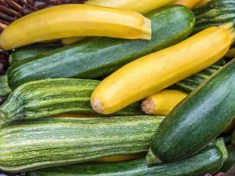 Les 5 erreurs à ne pas faire avec la courgette