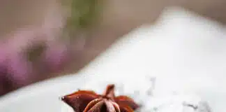 Dessert extraordinaire au chocolat