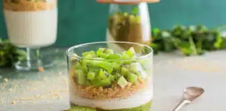 Pana cotta au kiwi