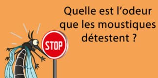 Quelle est l'odeur que les moustiques détestent