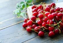 Tisane Queue De Cerise