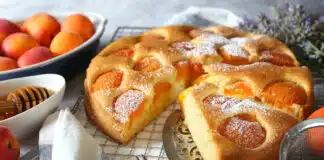 Gâteau moelleux aux abricots et yaourt