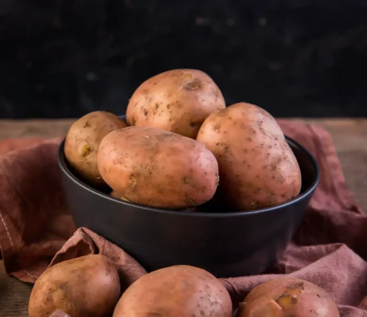 Conserver les pommes de terre de manière efficace sans qu'elles ne germent