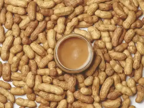 Crème aux noyaux d'arachides et au beurre d'arachide au thermomix