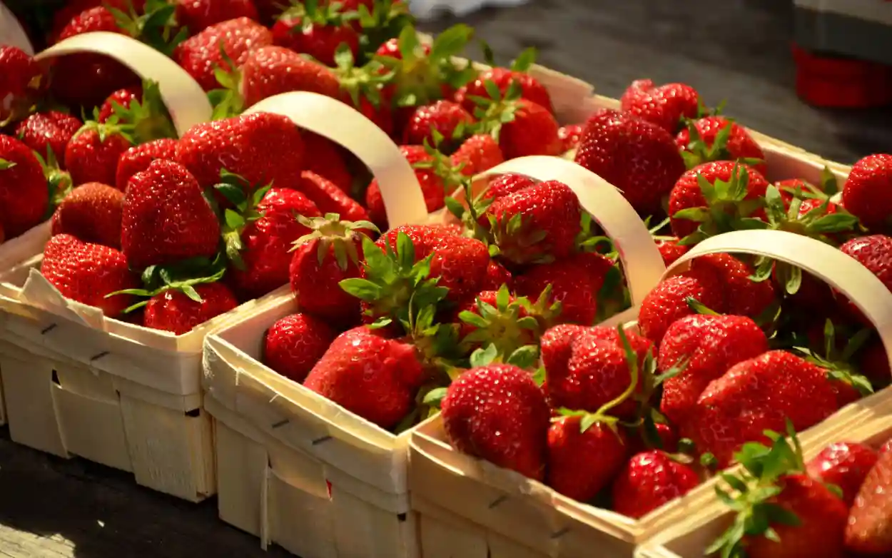 Que faire avec des fraises trop mûres